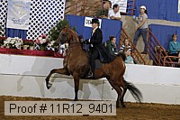 11r12_9401 proof