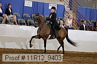 11r12_9403 proof
