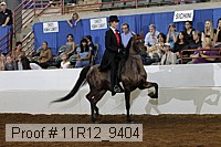 11r12_9404 proof