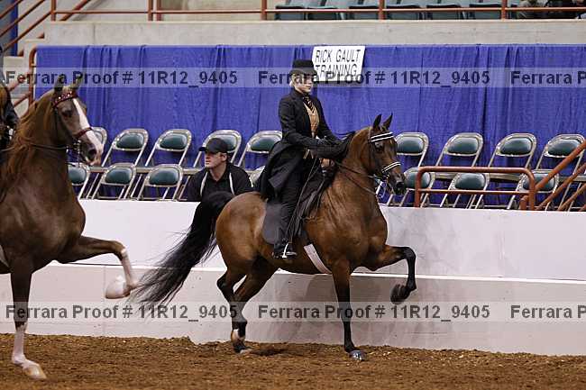Proof 11r12_9405