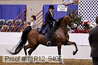 11r12_9406 proof