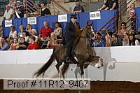 11r12_9407 proof