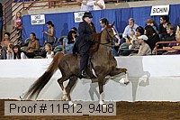 11r12_9408 proof