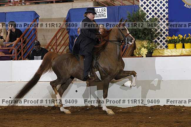 Proof 11r12_9409