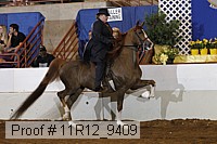 11r12_9409 proof
