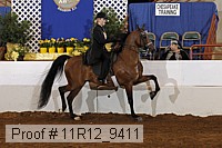 11r12_9411 proof