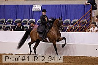11r12_9414 proof