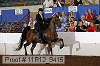 11r12_9415 proof