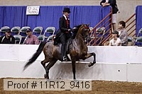 11r12_9416 proof