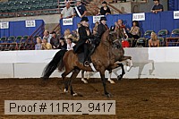 11r12_9417 proof