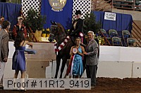 11r12_9419 proof