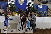 11r12_9420 proof