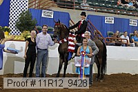 11r12_9428 proof