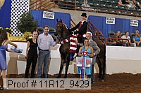 11r12_9429 proof