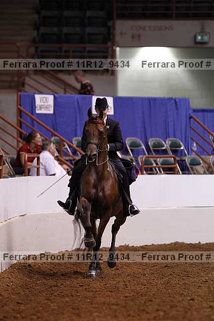 Proof 11r12_9434