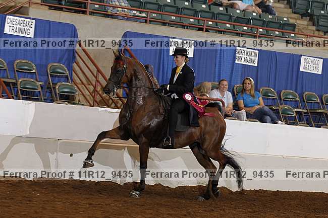 Proof 11r12_9435