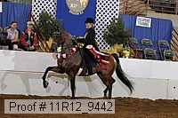 11r12_9442 proof