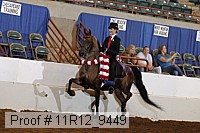 11r12_9449 proof