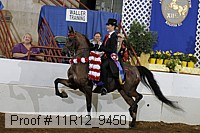 11r12_9450 proof