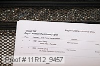 11r12_9457 proof
