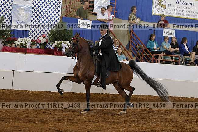 Proof 11r12_9458