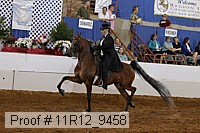 11r12_9458 proof