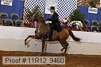 11r12_9460 proof