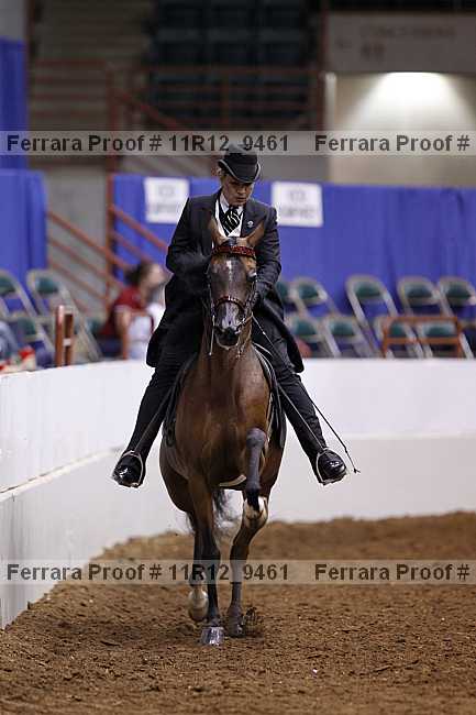 Proof 11r12_9461