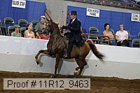 11r12_9463 proof