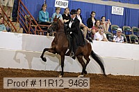 11r12_9466 proof