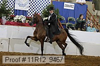 11r12_9467 proof