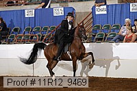 11r12_9469 proof