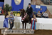 11r12_9474 proof