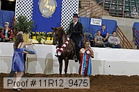 11r12_9475 proof