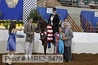 11r12_9479 proof