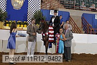 11r12_9482 proof