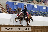 11r12_9485 proof