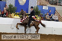 11r12_9487 proof