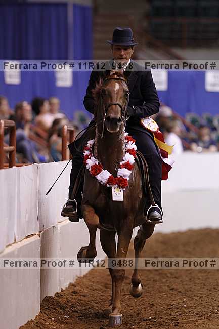 Proof 11r12_9488