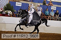11r12_9501 proof