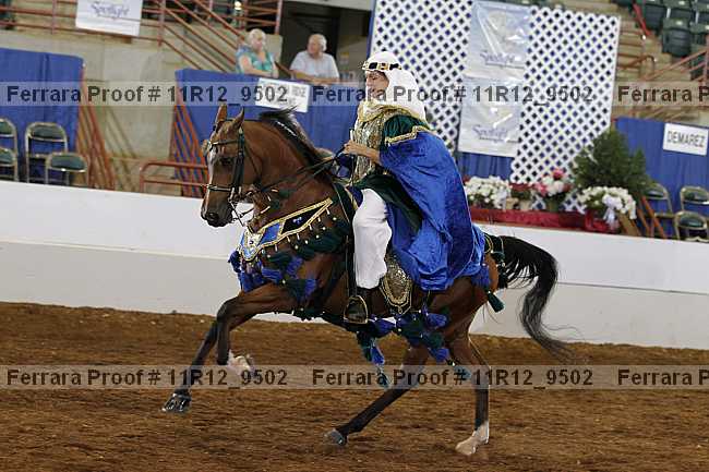 Proof 11r12_9502