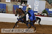 11r12_9502 proof