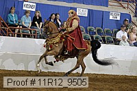 11r12_9505 proof