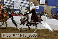11r12_9506 proof