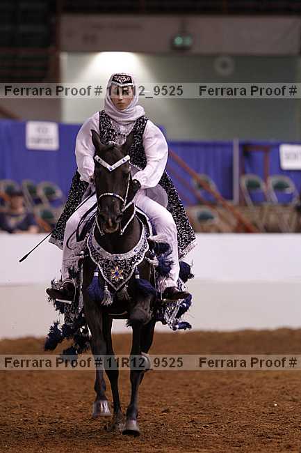 Proof 11r12_9525