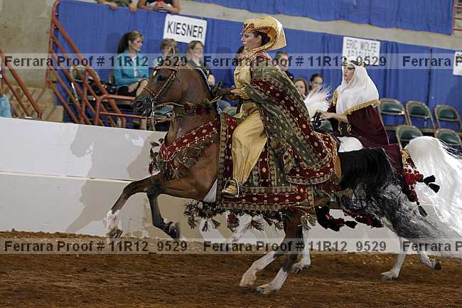 Proof 11r12_9529