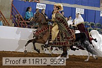 11r12_9529 proof