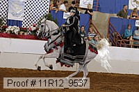 11r12_9537 proof