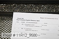 11r12_9580 proof