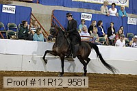 11r12_9581 proof